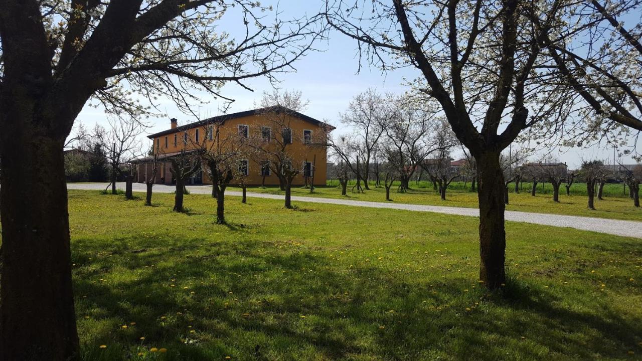 Agriturismo Borgo Borromeo Rubano Exteriör bild